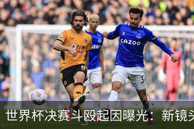 世界杯决赛斗殴起因曝光：新镜头拍到莫利纳一拳打在罗德里腹部