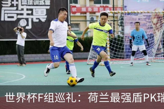 世界杯F组巡礼：荷兰最强盾PK瑞典犀利刀 日本短板明显
