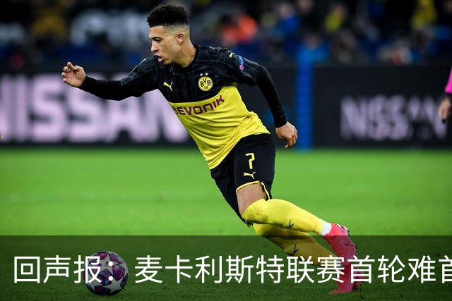 回声报：麦卡利斯特联赛首轮难首发，阿劳霍或与范戴克搭档