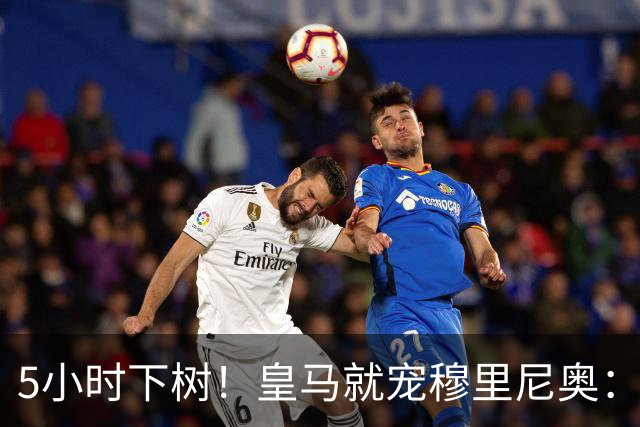 5小时下树！皇马就宠穆里尼奥：第5名新援到位，还有3大目标